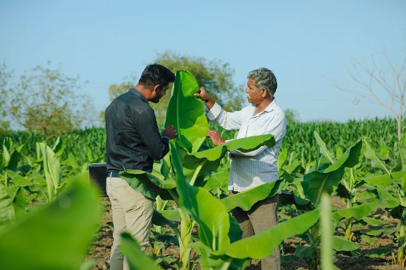 Agricultural knowledge and field observation